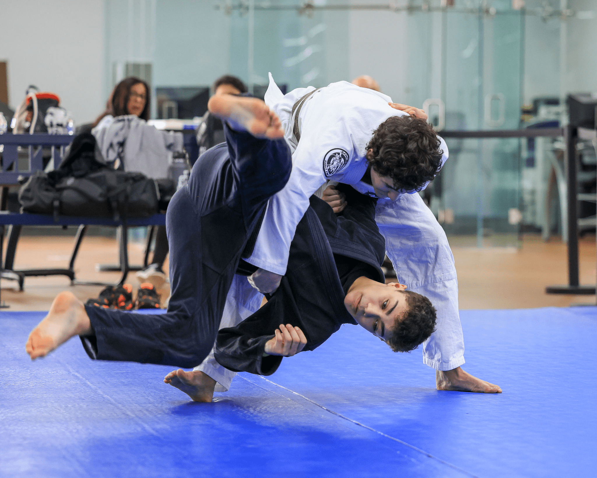 Brazilian Jiu-Jitsu